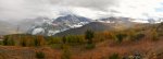 P1010764 (2).JPG