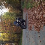 IMG_0987.JPG
