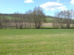 DSC00377.jpg