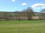 DSC00379.jpg
