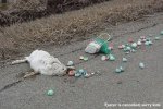 easterrabbit.jpg