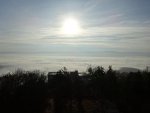 DSC01039.jpg