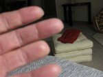 IMG_0440.jpg