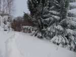 Eibl Jan 019.jpg
