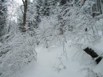Kogel 002.jpg