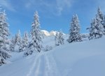 20150128_163314.jpg