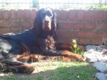 2011-04-18 15.08.04.jpg