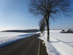 DSC01218.jpg