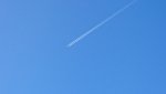 DSC_0214-3.jpg