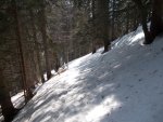 Rax Thörlweg-Gsolhirnsteig 025.jpg