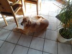 DSC02720.jpg