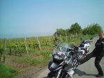DSC00061.jpg