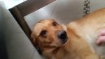 20150404_180400.jpg