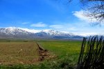 IMG_4846.JPG
