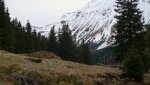 DSC03116k.jpg