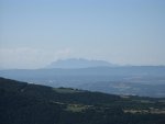 IMG_2110.jpg