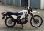 r80gs.jpg