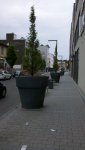 2015-05-25_16-53-37_39kl.jpg
