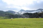 IMG_1945-Mittel.JPG