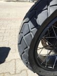 IMG_6667.jpg