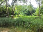 20150609_144712.jpg