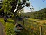 WP_20150716_19_38_23_Rich_bearbeitet.jpg