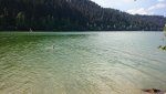 DSC_0993.jpg