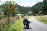 781 Whanganui River Road.jpg