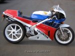 Honda-RC30-PSPT-02.jpg