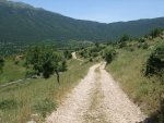 2009_06210093.JPG