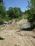 2009_06210100.JPG