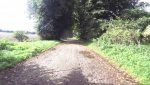 Einzelbild - 170760.jpg
