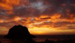 DSC05682.jpg