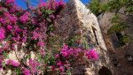 DSC05710.jpg