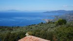 DSC05925.jpg