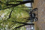 15-10-18_1020_Strich-5_Bruckner_Allee.jpg