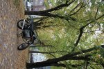 15-10-18_1020_Strich_5.jpg