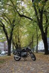 15-10-18_1020_Strich-5_Bruckner_Allee.jpg