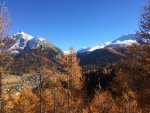 IMG_2628.jpg