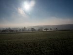 _C200049.jpg