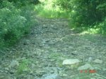 DSC08562_1.jpg