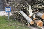 DSC_5912.jpg