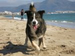 spike beach.JPG