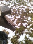 IMG_20160124_111208.jpg