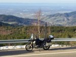 IMG_0064.jpg