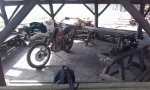 20160227_123248.jpg