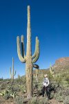 Björn neben Saguaro.jpg