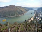 P1040333_bearbeitet-1.jpg