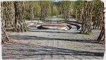 IMG-20160421-WA0027.jpg