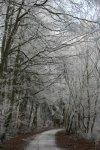 IMG_3936.jpg